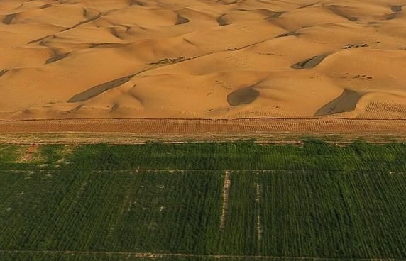 聚合氯化鋁和聚丙烯酰胺哪個(gè)能防沙固沙？