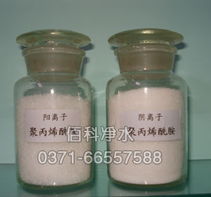 2000�f�����ИI(y��)�þ۱�ϩ����